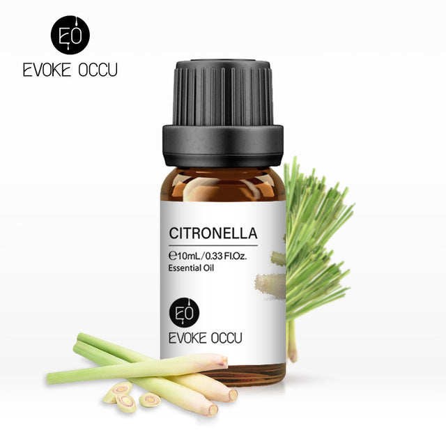 10ml Pure Undiluted Fragrance Oil for DIY Candles