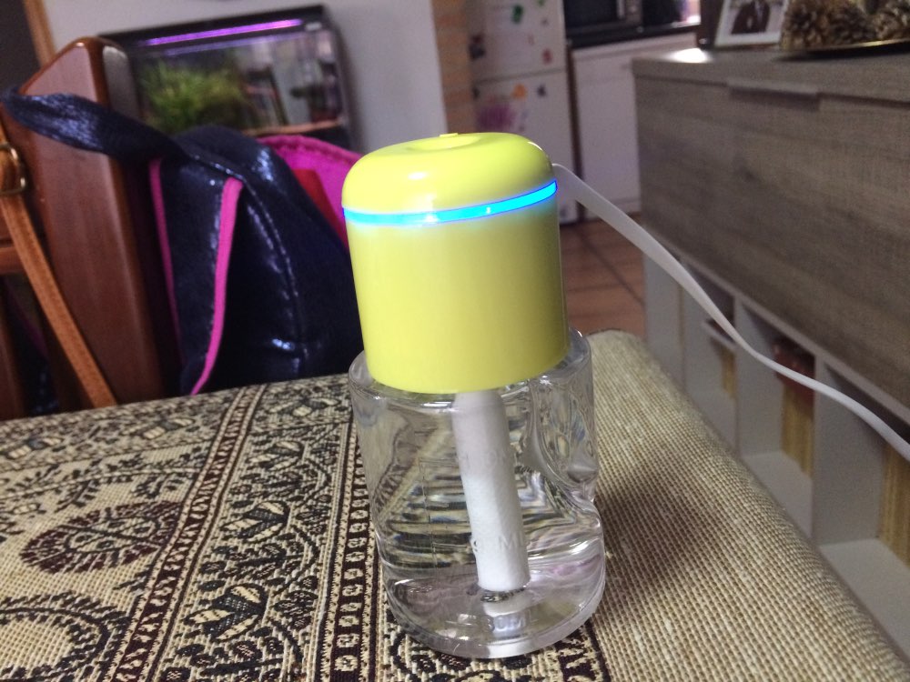 Mini Portable Humidifier for Home Use